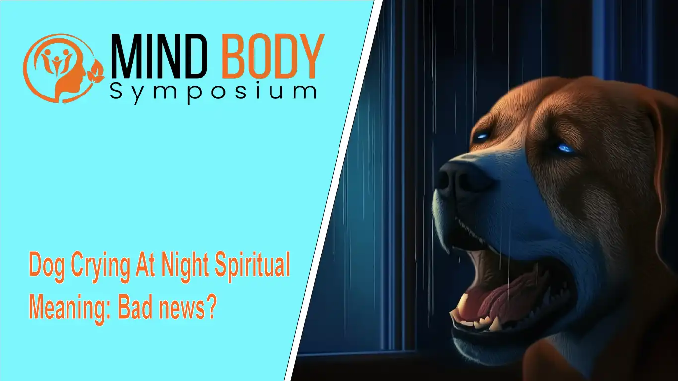 dog crying at night spiritual meaning