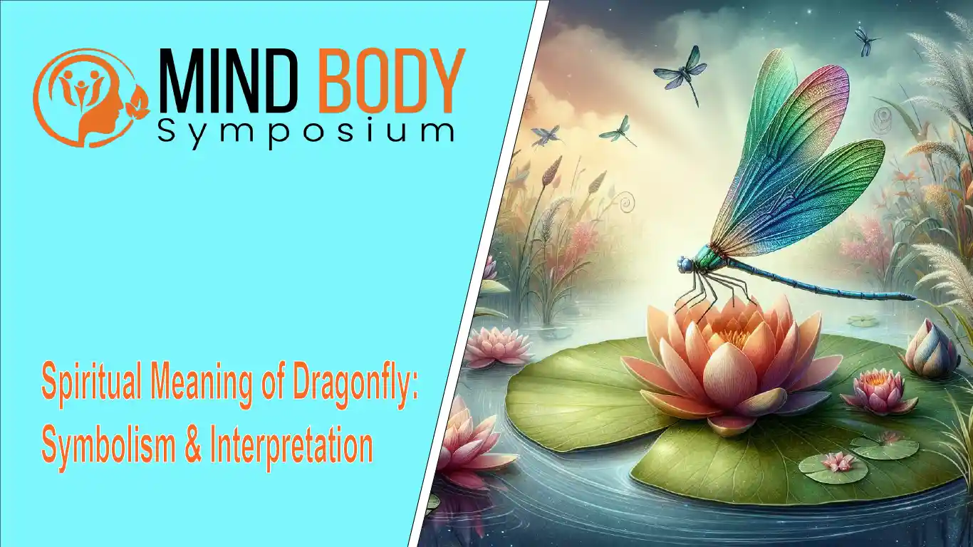 spiritual meaning of dragonfly