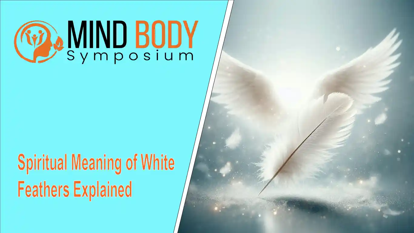 spiritual meaning of white feathers