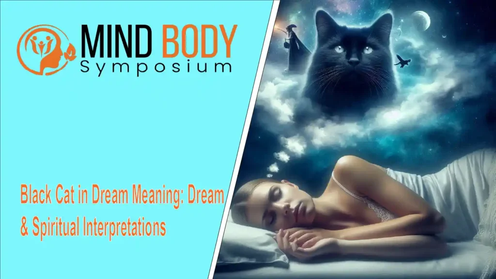 black cat in dream meaning