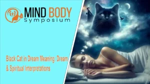 black cat in dream meaning