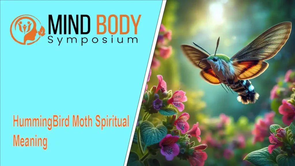 hummingbird moth spiritual meaning