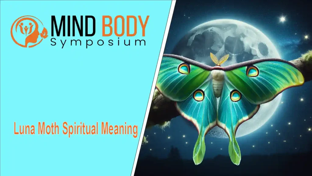 luna moth spiritual meaning