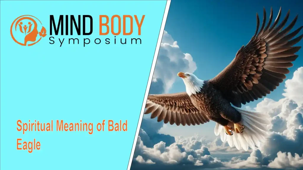 spiritual meaning of bald eagle