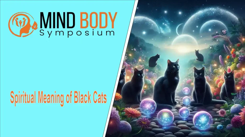 spiritual meaning of black cats