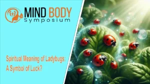 spiritual meaning of ladybugs