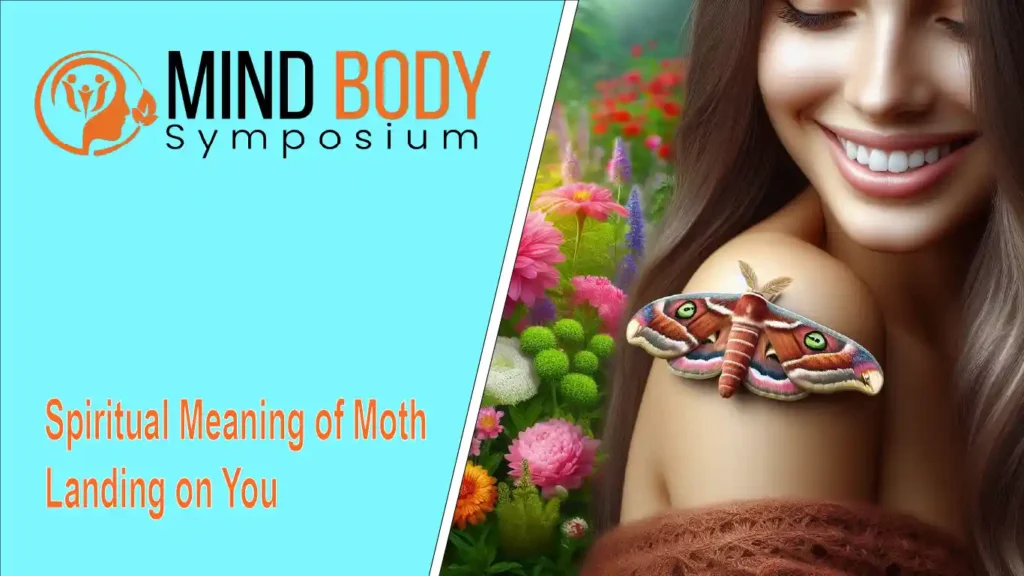 spiritual meaning of moth landing on you