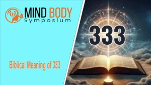 biblical meaning of 333